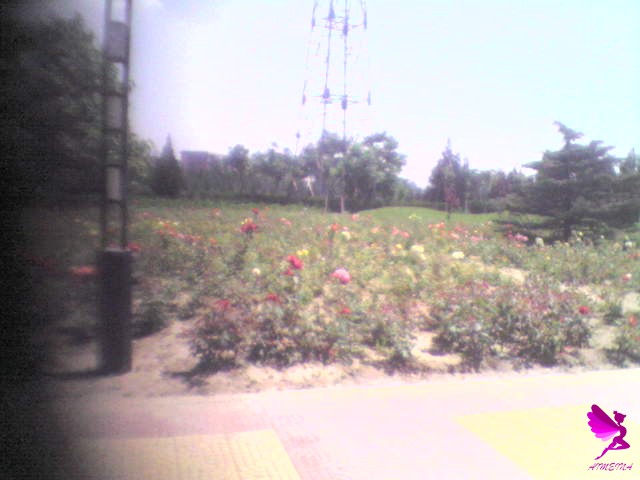 10.42.13-06.06.14.jpg