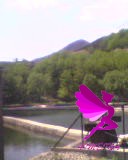 14.27.48-06.05.10.jpg
