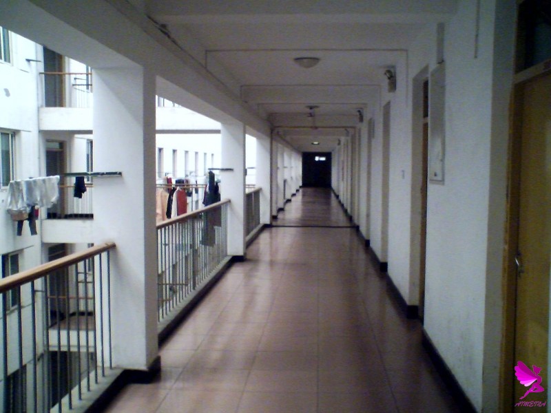 25-05-06_1436.jpg