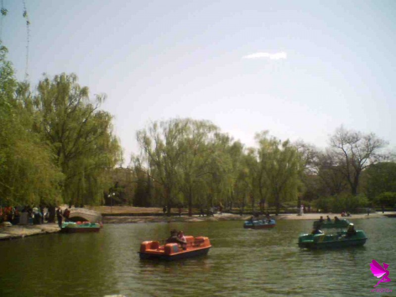 22-04-06_1104.jpg