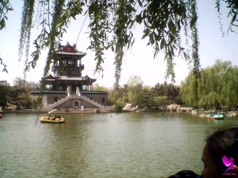 22-04-06_1117.jpg