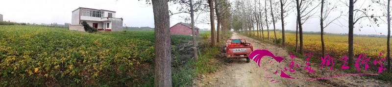 IMG_20120925_143535.jpg