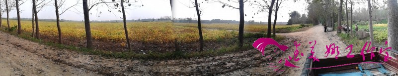 IMG_20120925_143700.jpg