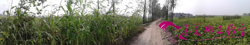 IMG_20120925_144624.jpg