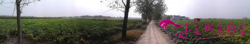 IMG_20120925_144721.jpg