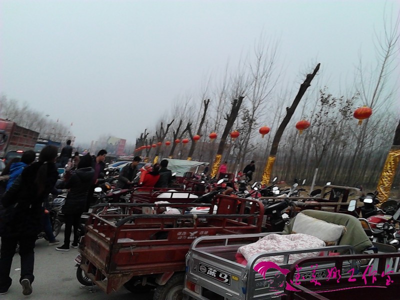 IMG_20130224_152537.jpg