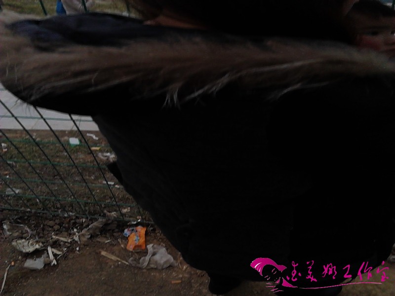 IMG_20130224_152724.jpg